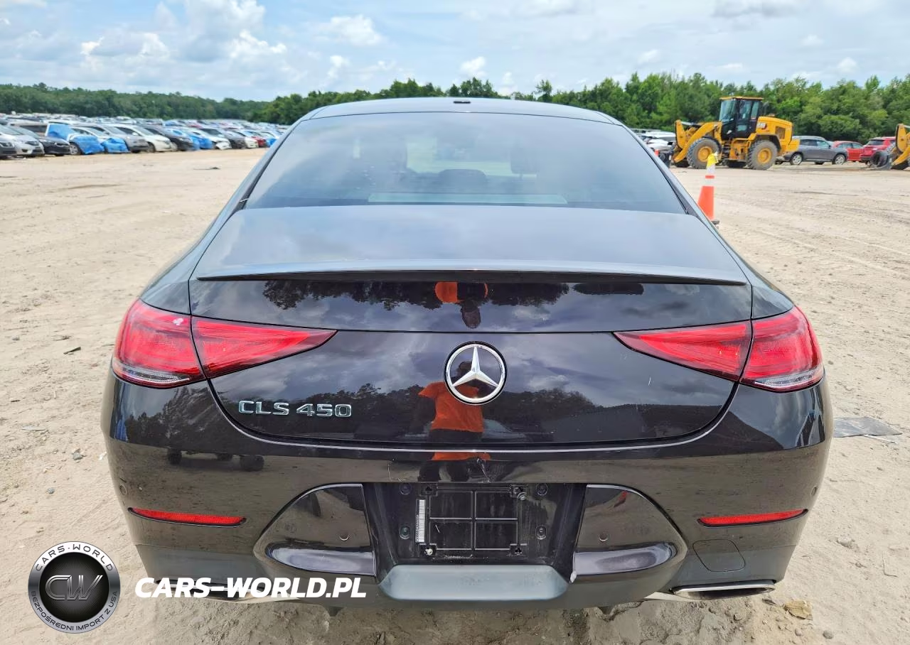 2019 Mercedes-Benz Cls 450 VIN:WDD2J5JBXKA044559 - 6