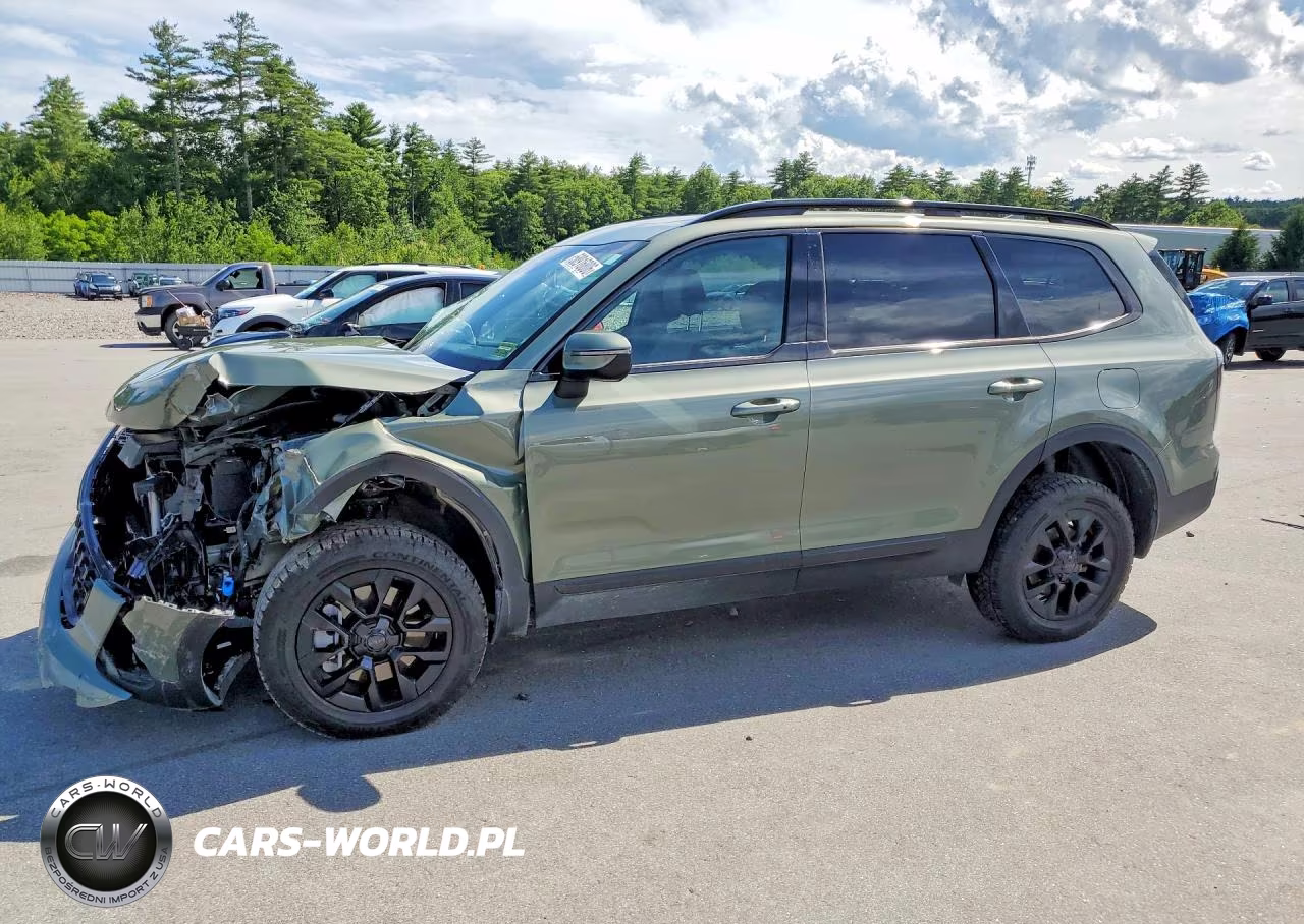 2025 Kia Telluride Ex X-Pro VIN:5XYP3DGC8SG678344 - 1