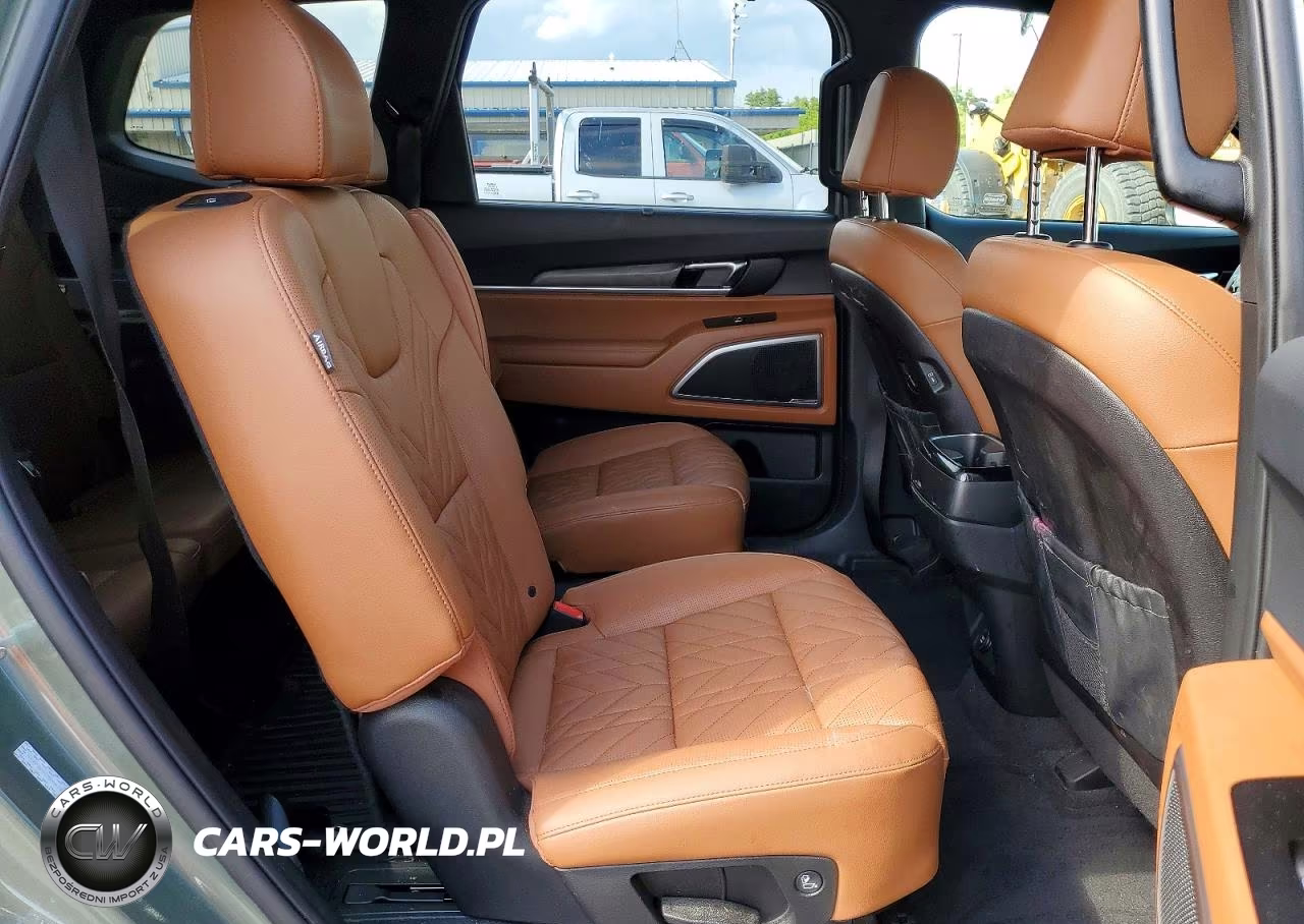2025 Kia Telluride Ex X-Pro VIN:5XYP3DGC8SG678344 - 11