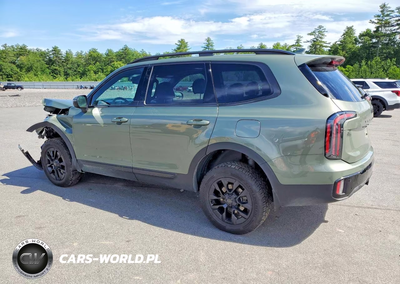 2025 Kia Telluride Ex X-Pro VIN:5XYP3DGC8SG678344 - 2