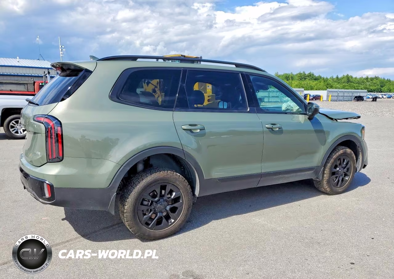 2025 Kia Telluride Ex X-Pro VIN:5XYP3DGC8SG678344 - 3