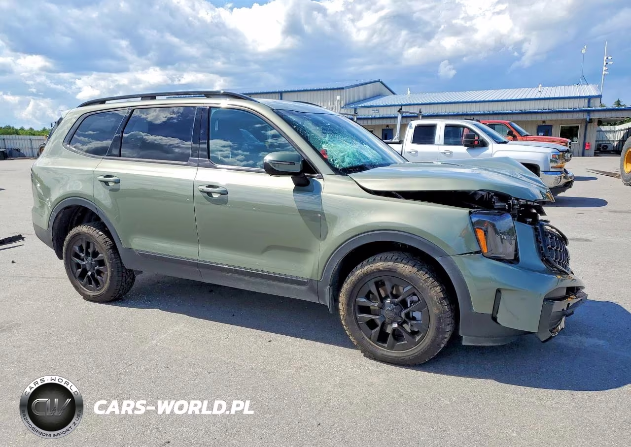 2025 Kia Telluride Ex X-Pro VIN:5XYP3DGC8SG678344 - 4