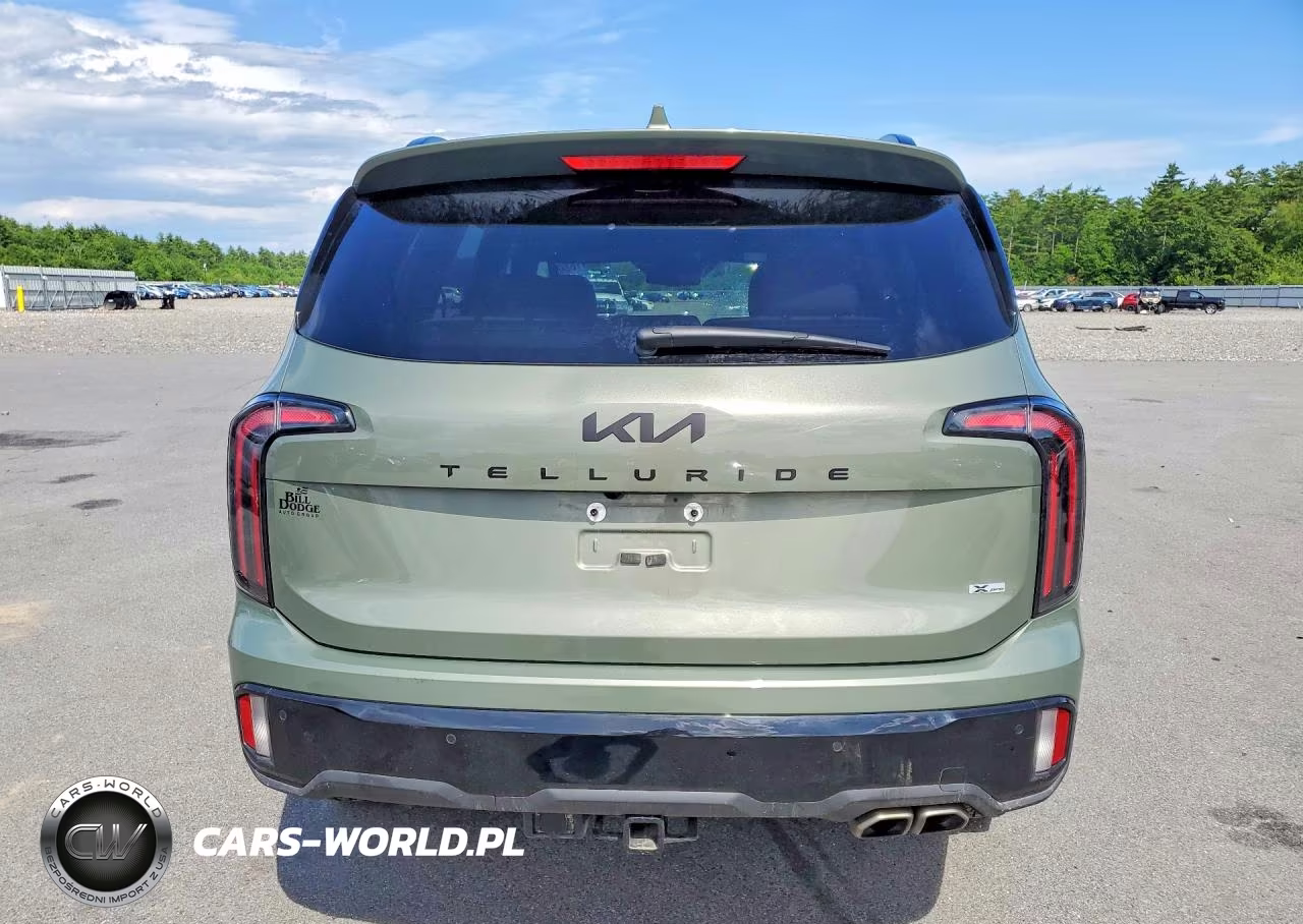2025 Kia Telluride Ex X-Pro VIN:5XYP3DGC8SG678344 - 6