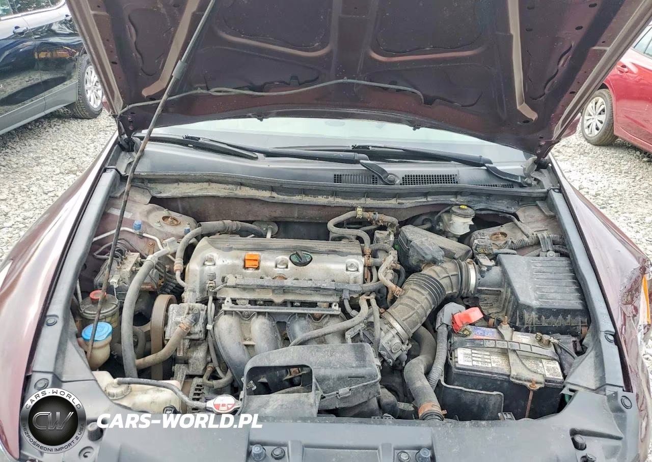 2010 Honda Accord Lxp VIN:1HGCP2F44AA056535 - 11
