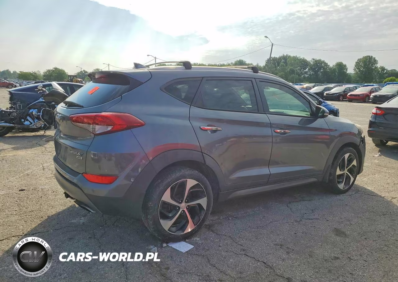 2016 Hyundai Tucson Limited VIN:KM8J3CA2XGU074411 - 3