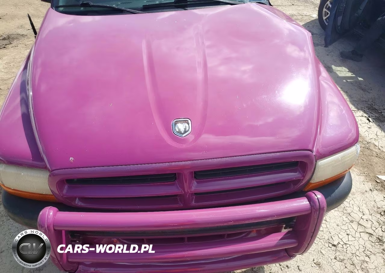 1997 Dodge Dakota VIN:1B7GG23YXVS195821 - 11