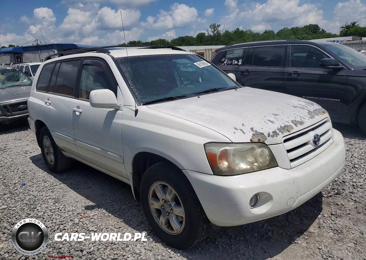 2004 Toyota Highlander Base VIN:JTEGP21A840029132 - 4