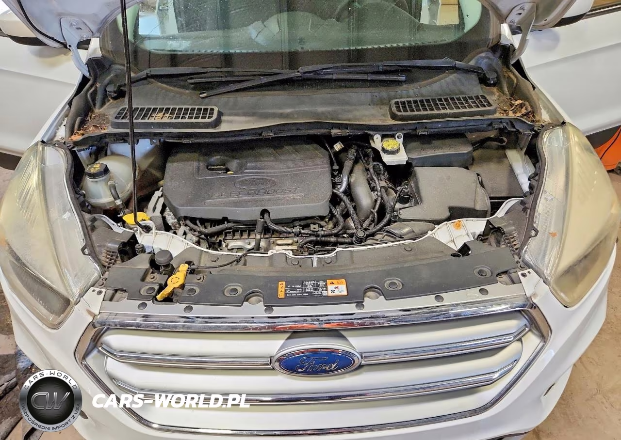 2017 Ford Escape Se VIN:1FMCU0GD6HUE39276 - 12