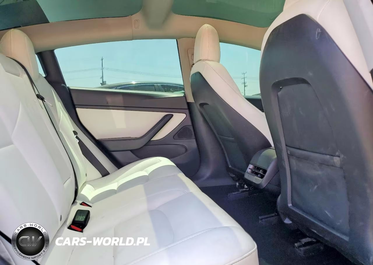 2021 Tesla Model 3 VIN:5YJ3E1EA5MF858819 - 10