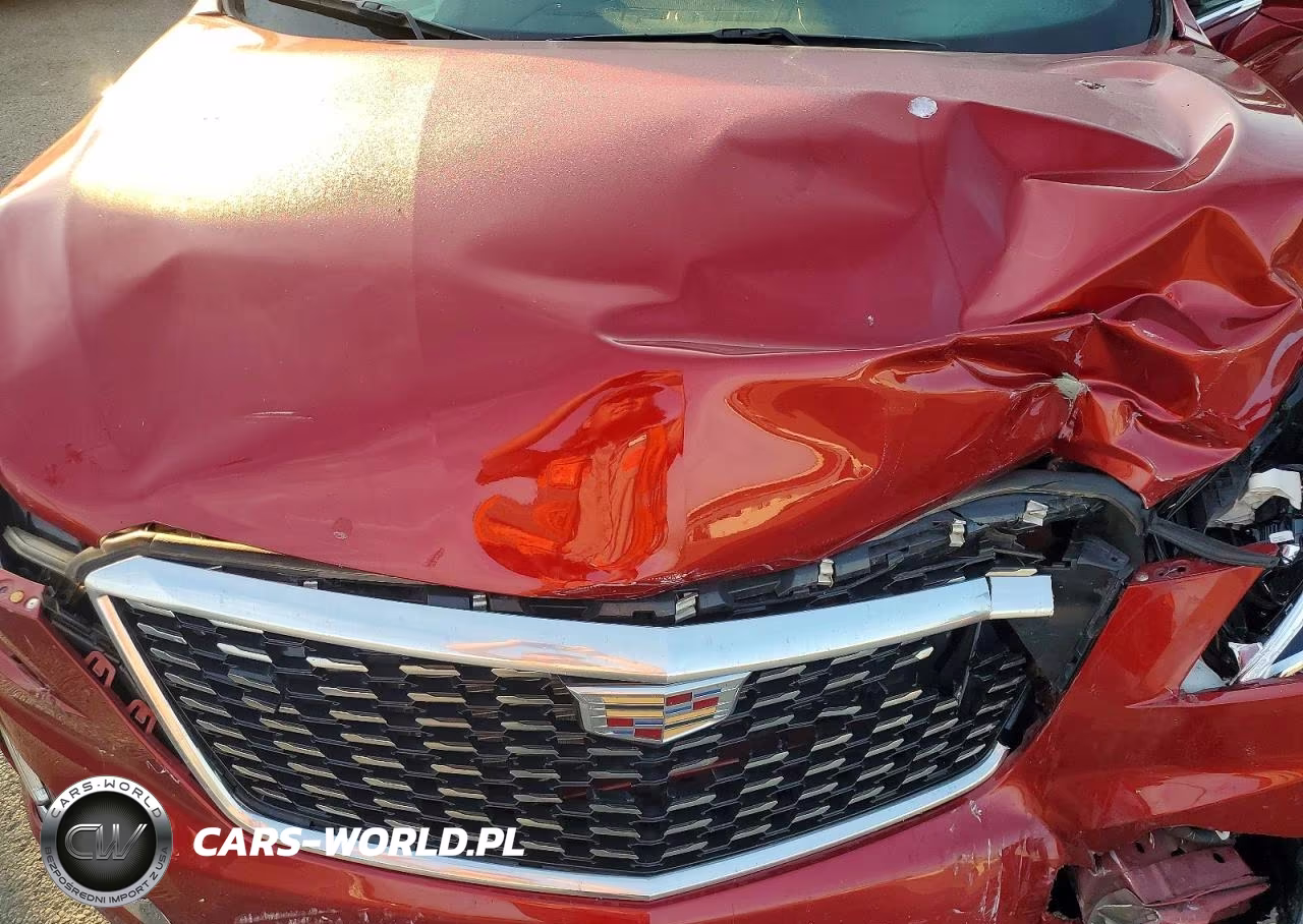 2021 Cadillac Xt5 Premium Luxury VIN:1GYKNDRS9MZ108120 - 12