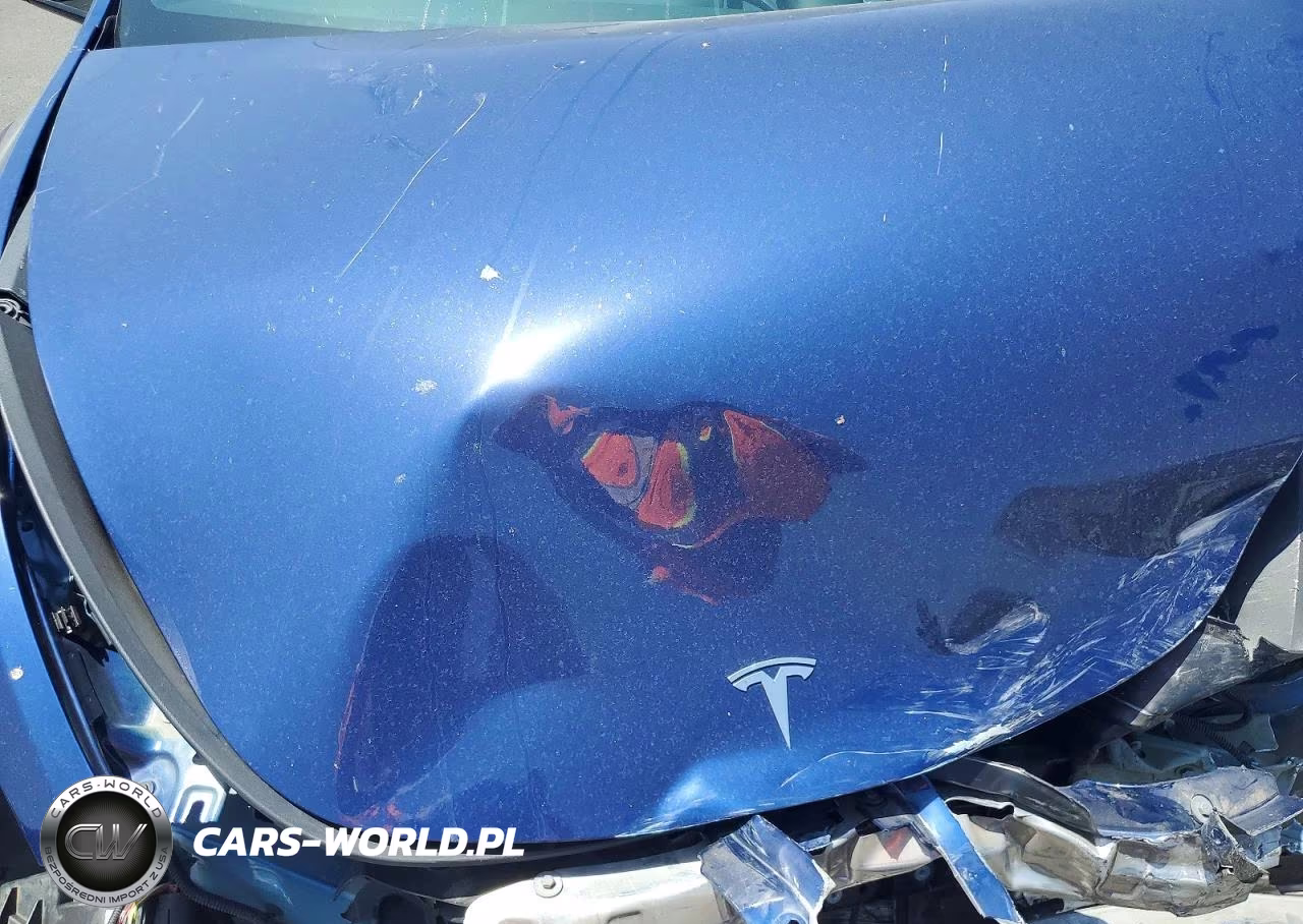 2022 Tesla Model Y VIN:7SAYGDEE2NF425872 - 12