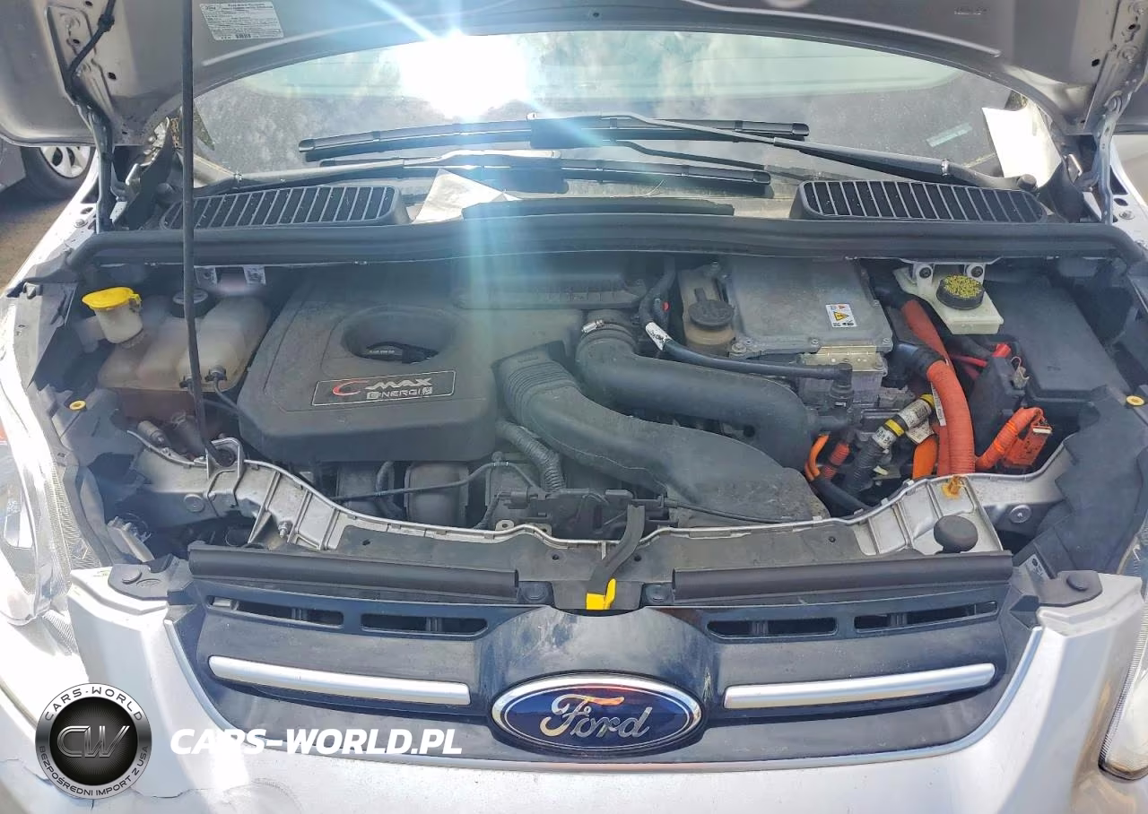 2013 Ford C-Max Premium VIN:1FADP5CU0DL507578 - 12
