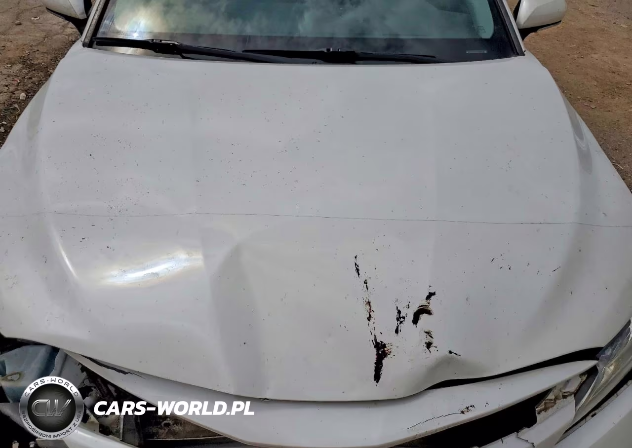 2019 Toyota Camry Hybrid Xle VIN:4T1B21HKXKU513763 - 11
