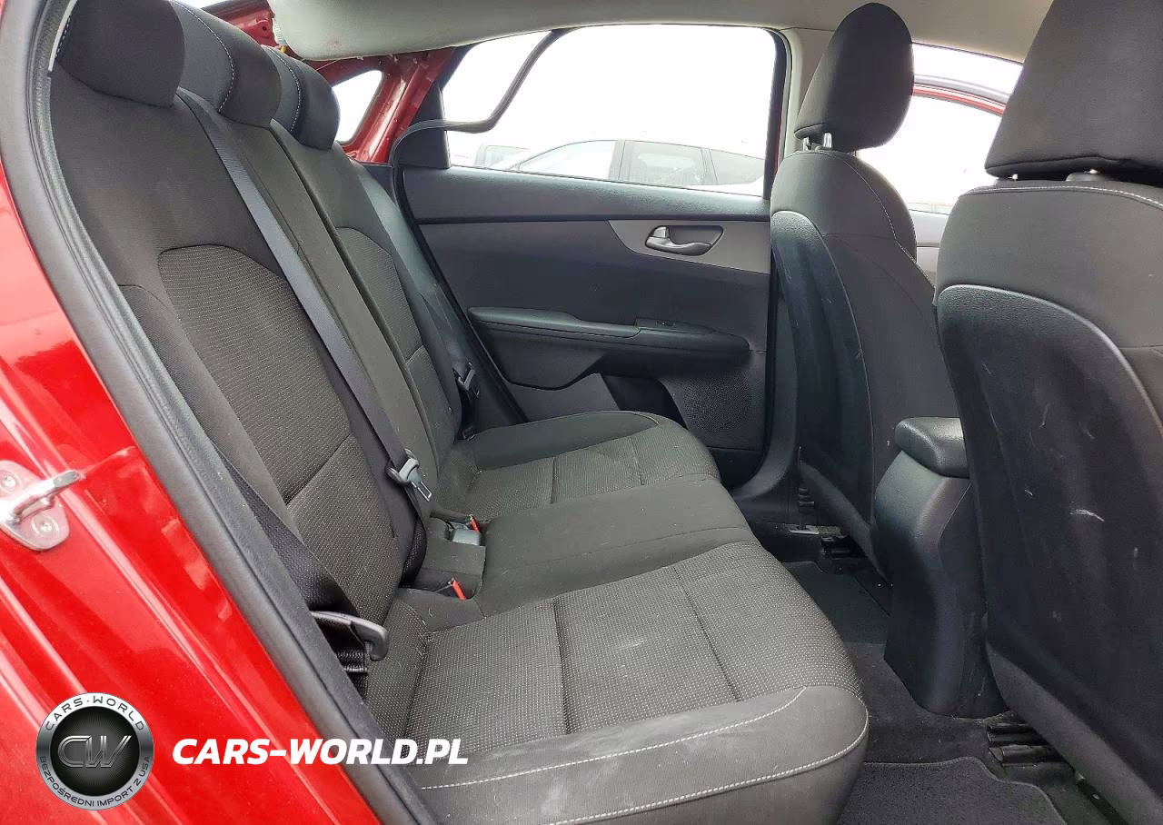 2019 Kia Forte Lxs VIN:3KPF24AD1KE096390 - 10