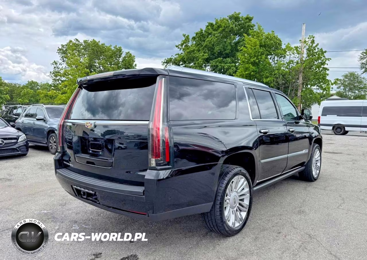 2019 Cadillac Escalade Esv Premium Luxury VIN:1GYS4JKJ4KR316437 - 4