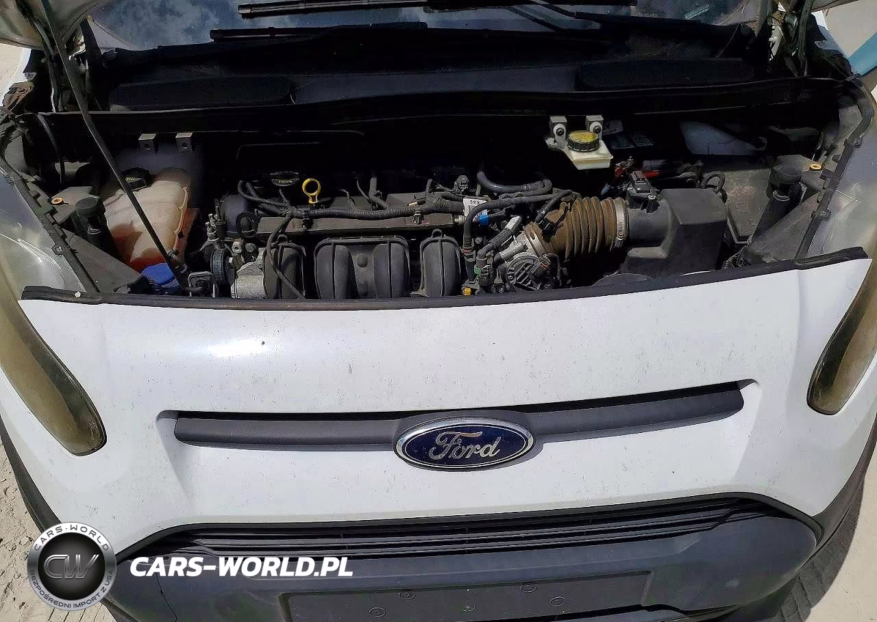 2015 Ford Transit Connect Xl VIN:NM0LS7E71F1187433 - 11