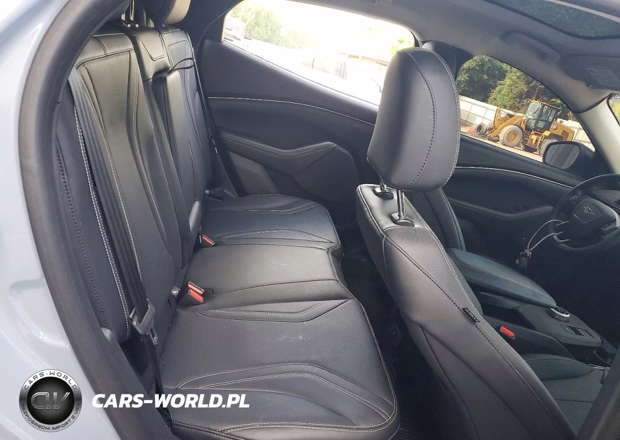 2024 Ford Mustang Mach-E Premium VIN:3FMTK3R78RMA51938 - 10