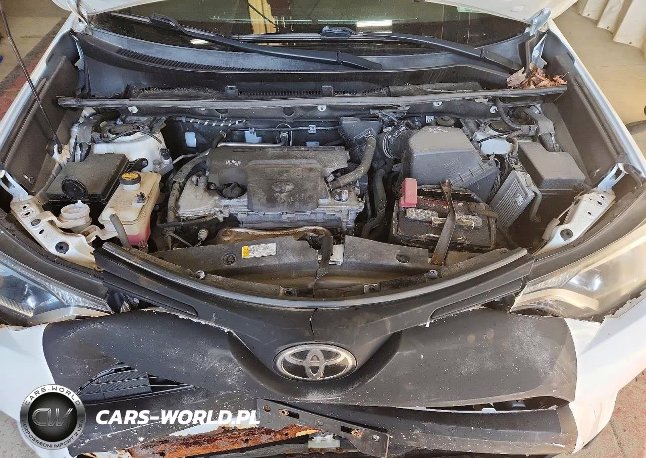 2018 Toyota Rav4 Xle VIN:2T3RFREV1JW815190 - 11