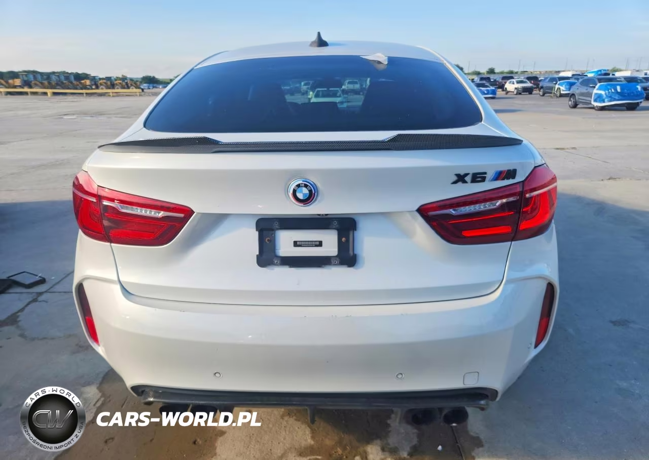 2015 BMW X6 M VIN:5YMKW8C54F0G93798 - 6