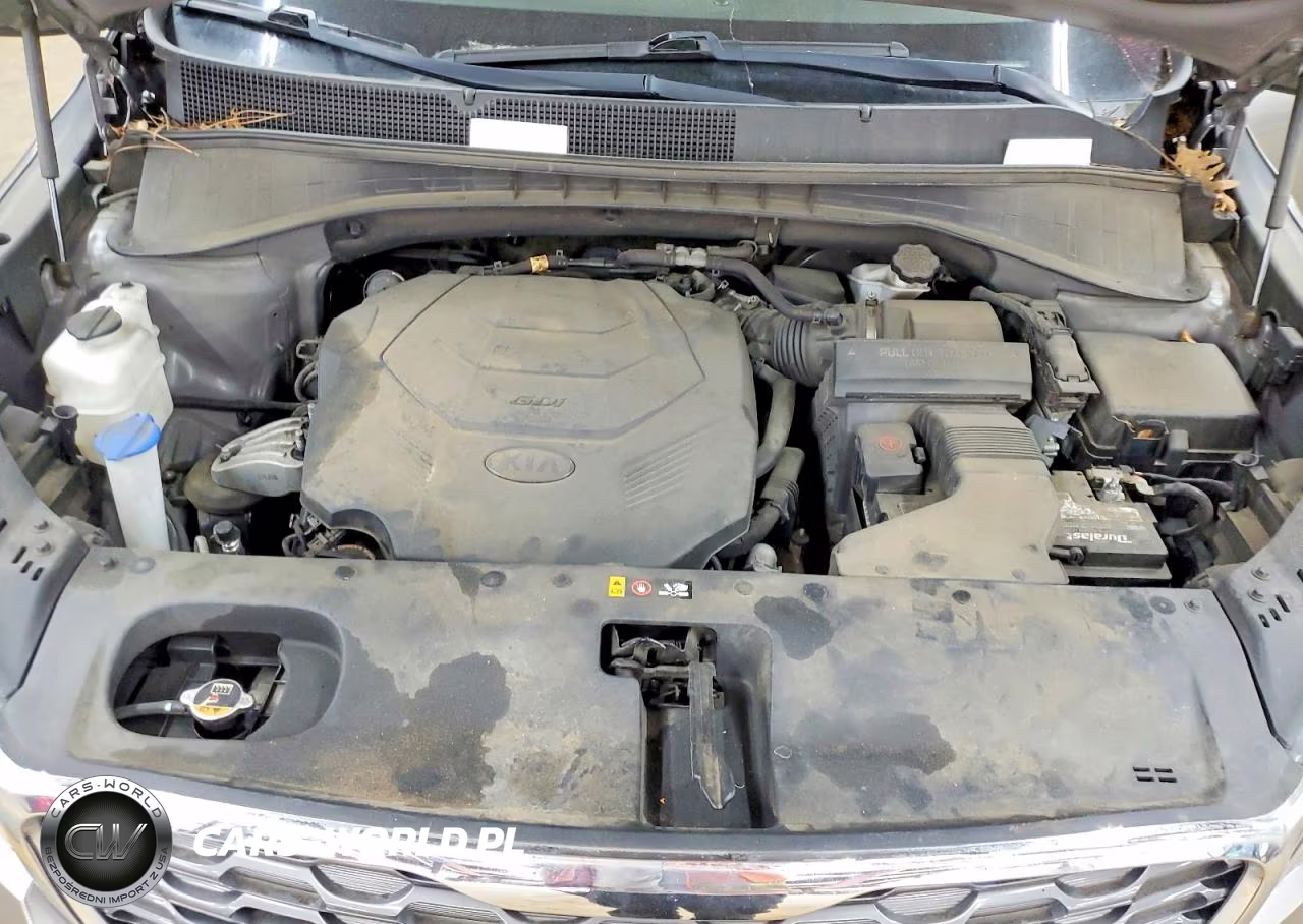 2019 Kia Sorento Ex V6 VIN:5XYPH4A58KG441462 - 12