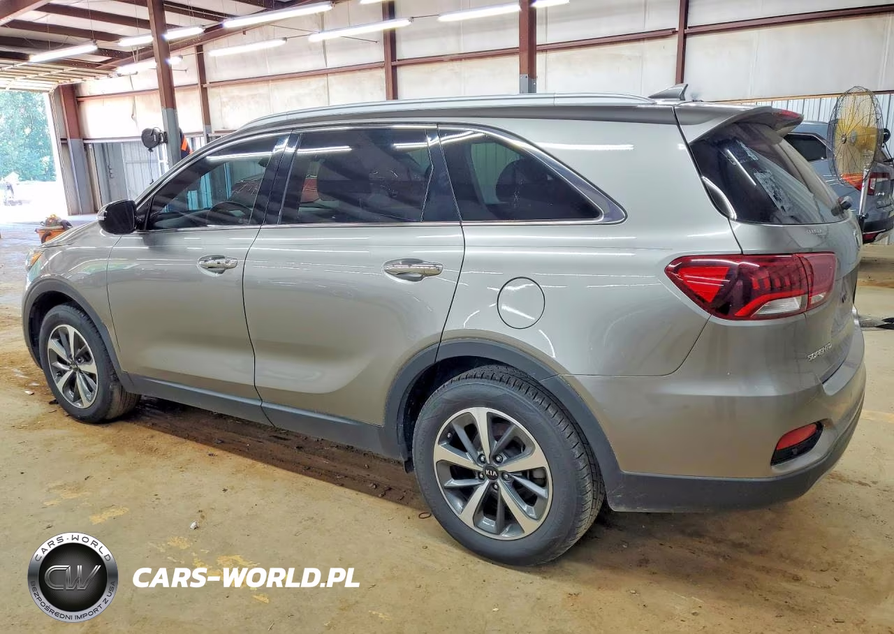 2019 Kia Sorento Ex V6 VIN:5XYPH4A58KG441462 - 2