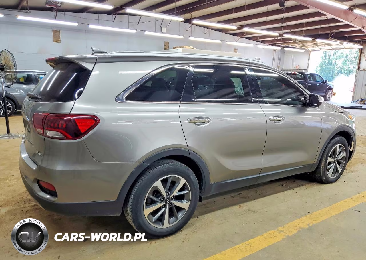 2019 Kia Sorento Ex V6 VIN:5XYPH4A58KG441462 - 3
