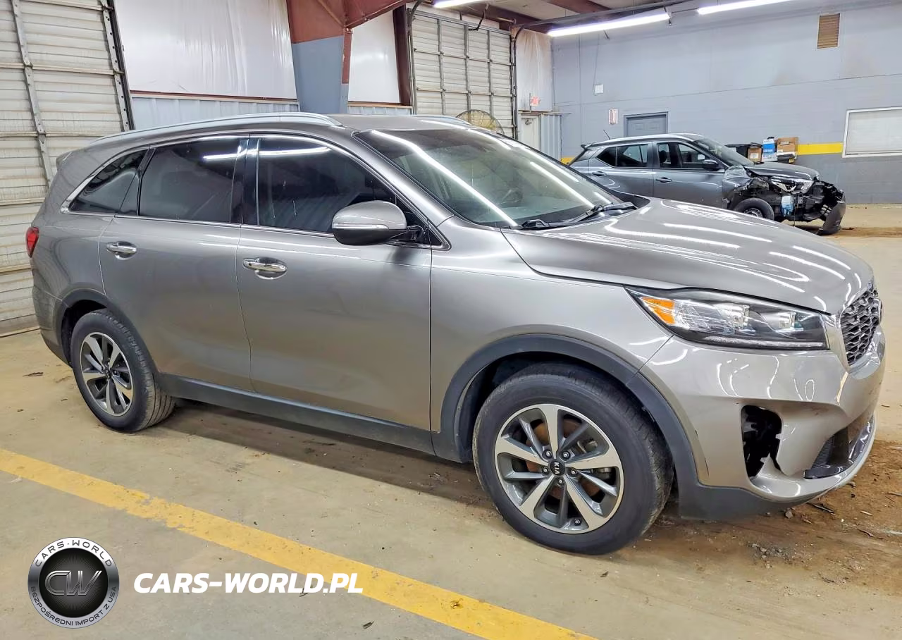 2019 Kia Sorento Ex V6 VIN:5XYPH4A58KG441462 - 4