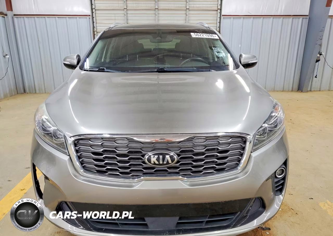 2019 Kia Sorento Ex V6 VIN:5XYPH4A58KG441462 - 5