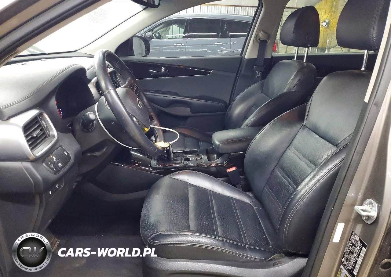 2019 Kia Sorento Ex V6 VIN:5XYPH4A58KG441462 - 7