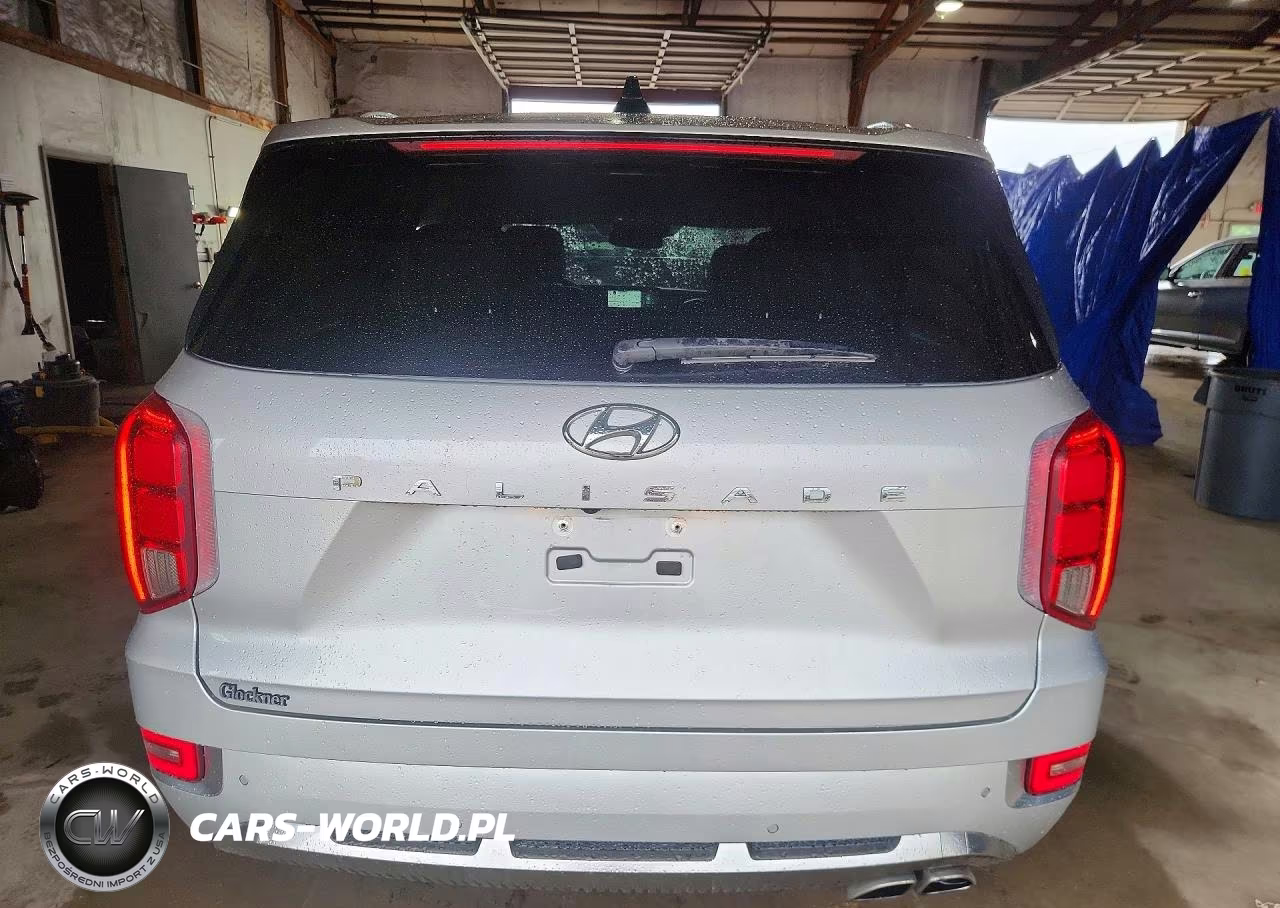 2022 Hyundai Palisade Calligraphy VIN:KM8R74HE5NU349810 - 6