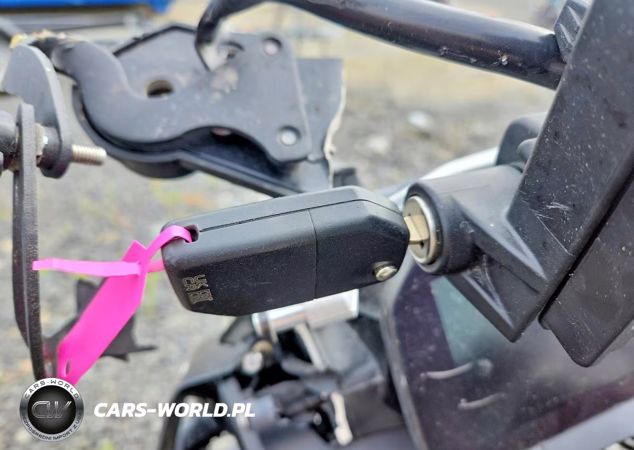 2023 BMW R 1250 Gs VIN:WB10M0307P6G43338 - 8