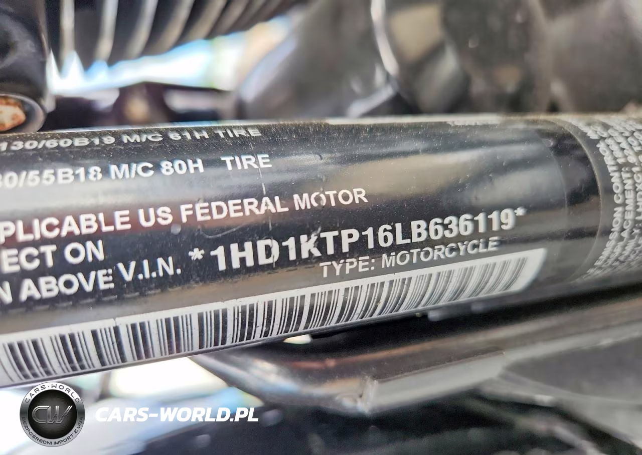 2020 Harley-Davidson Fltrxs VIN:1HD1KTP16LB636119 - 9