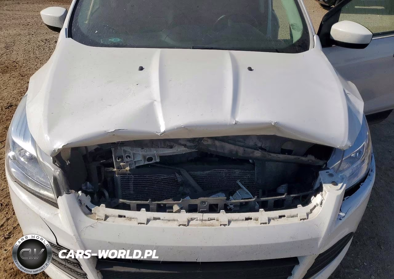 2015 Ford Escape Se VIN:1FMCU0G96FUC76864 - 12