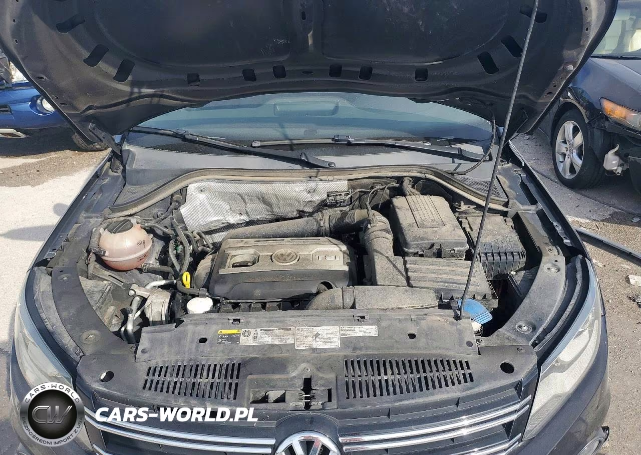 2017 Volkswagen Tiguan Sport VIN:WVGTV7AX8HK022018 - 12