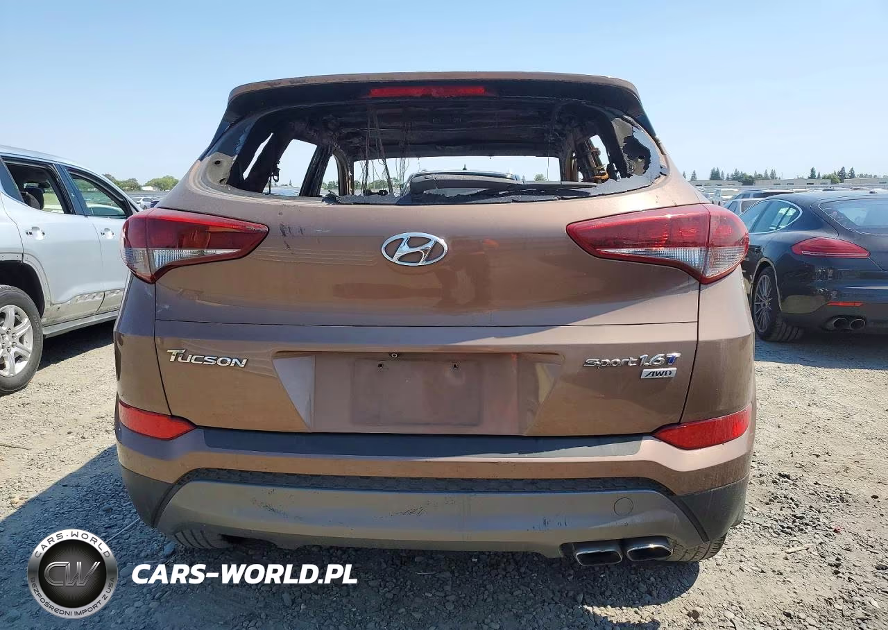 2016 Hyundai Tucson Sport VIN:KM8J3CA26GU241458 - 6