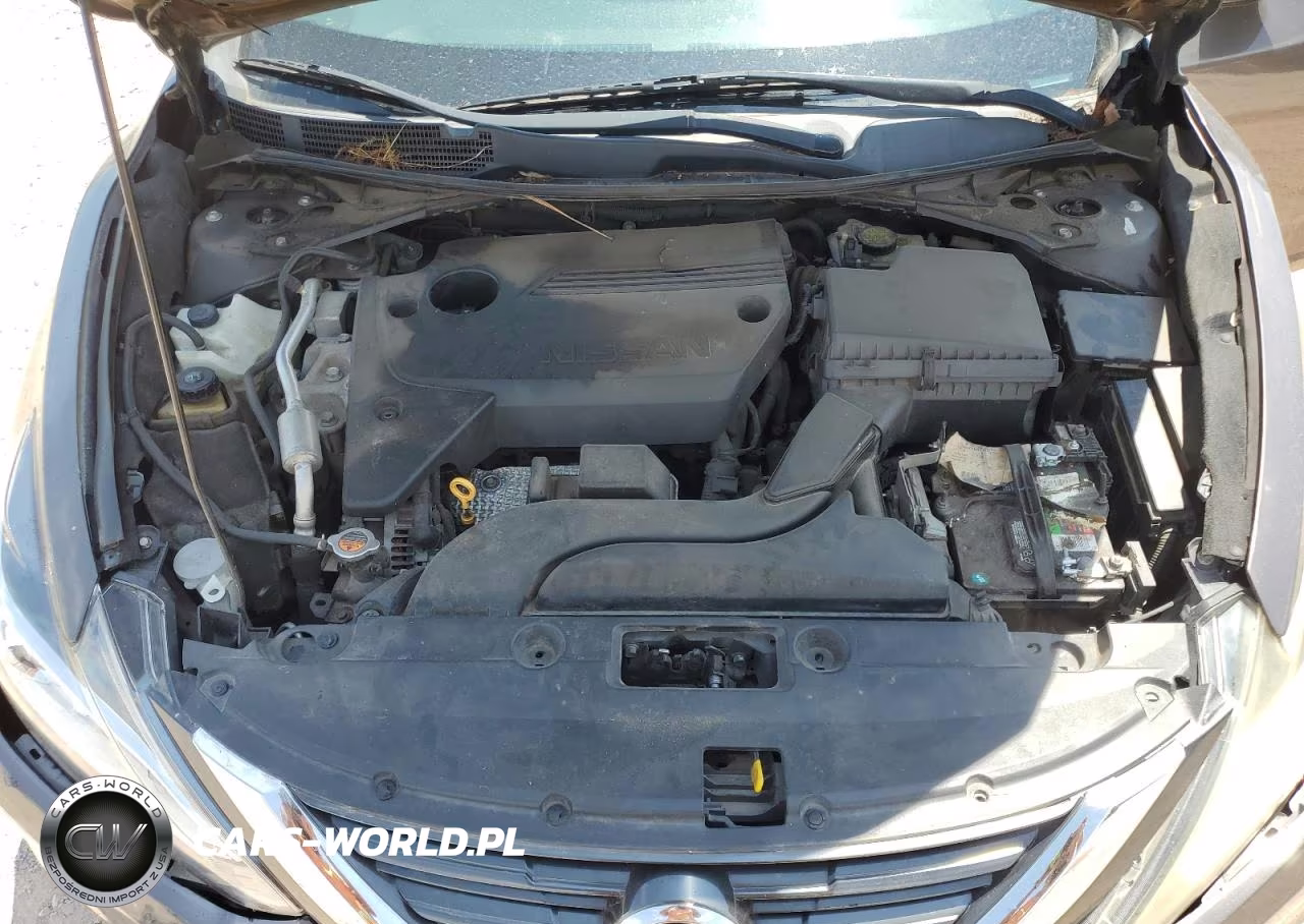 2016 Nissan Altima 2.5 VIN:1N4AL3AP1GN312811 - 11