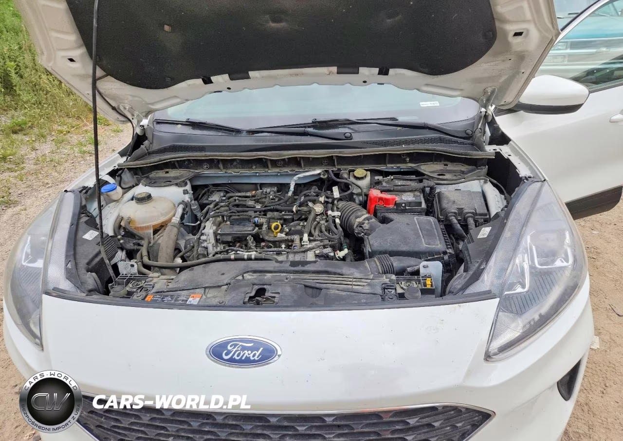 2020 Ford Escape Se VIN:1FMCU9G67LUC56421 - 12