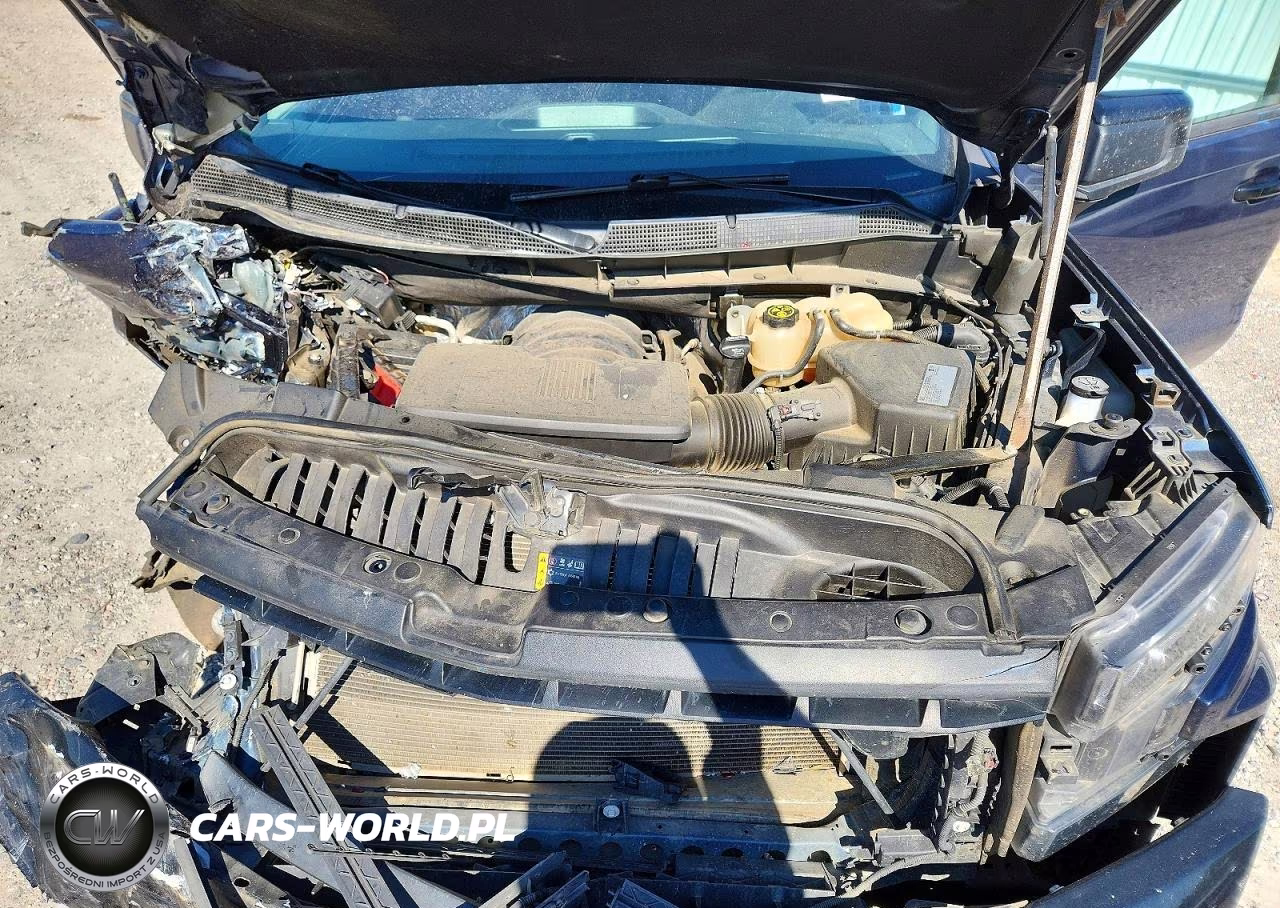2019 Chevrolet Silverado K1500 Lt Trail Boss VIN:3GCPYFED3KG175900 - 11