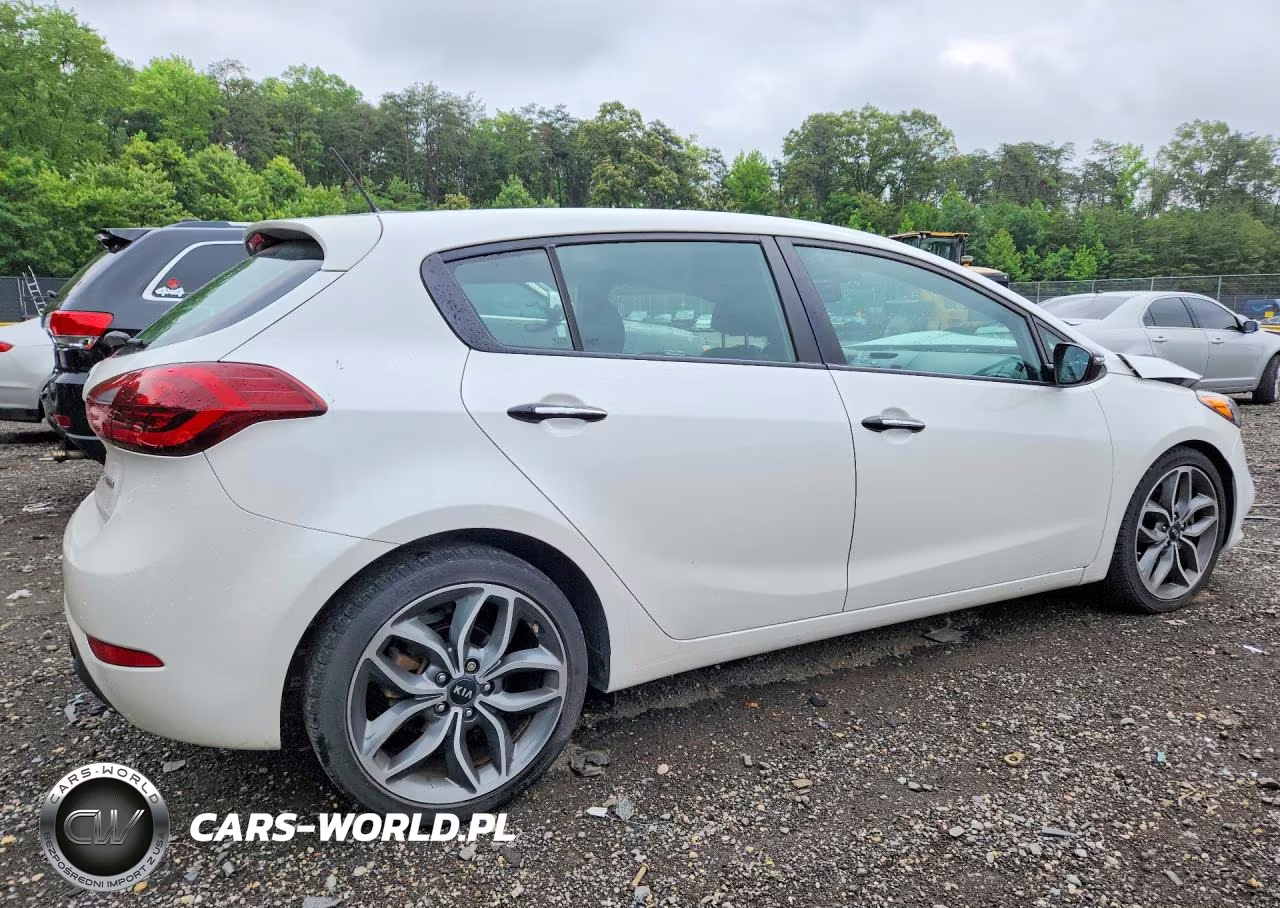 2016 Kia Forte Sx VIN:KNAFZ5A32G5626276 - 3