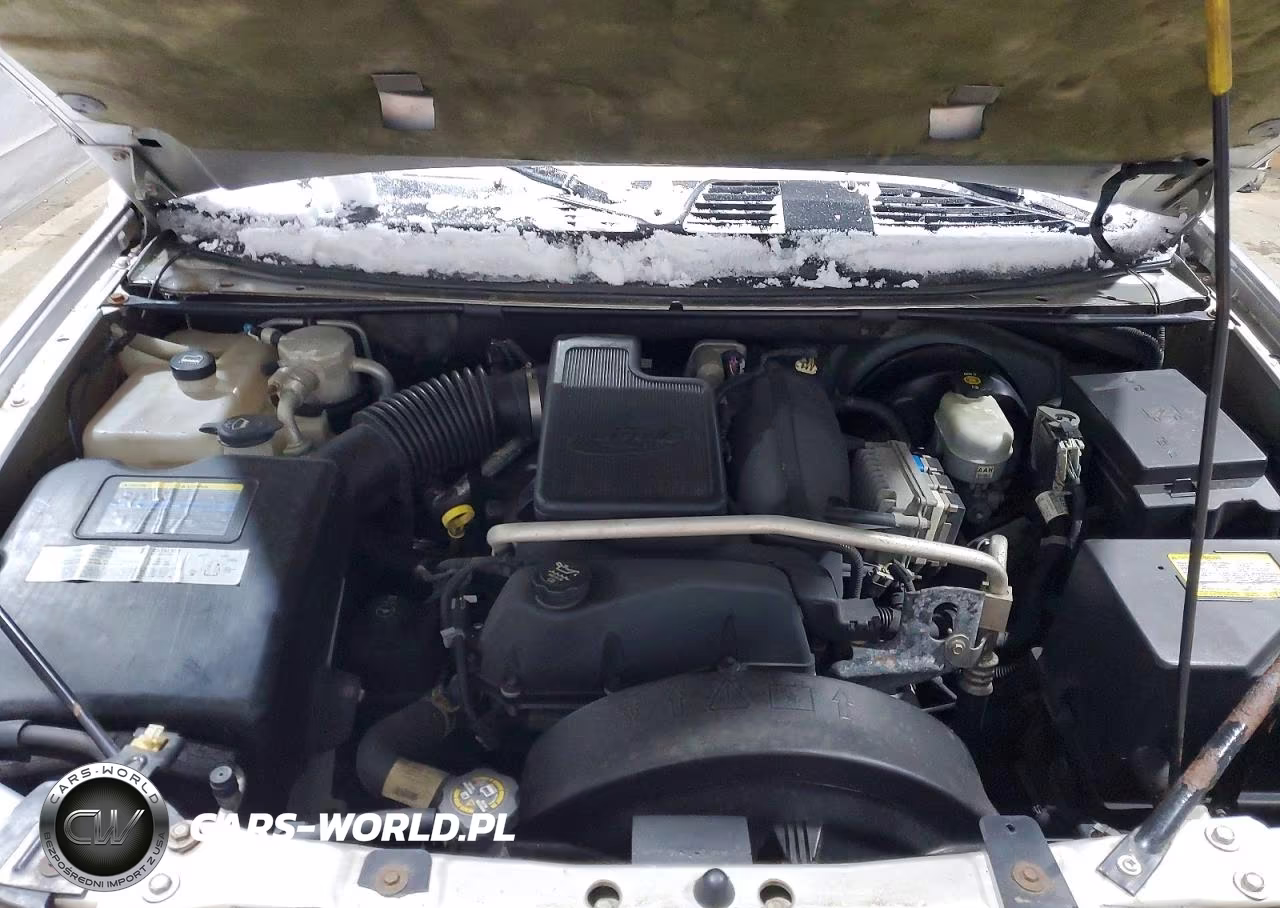 2005 Chevrolet Trailblazer Ext Ls VIN:1GNES16S856105279 - 12