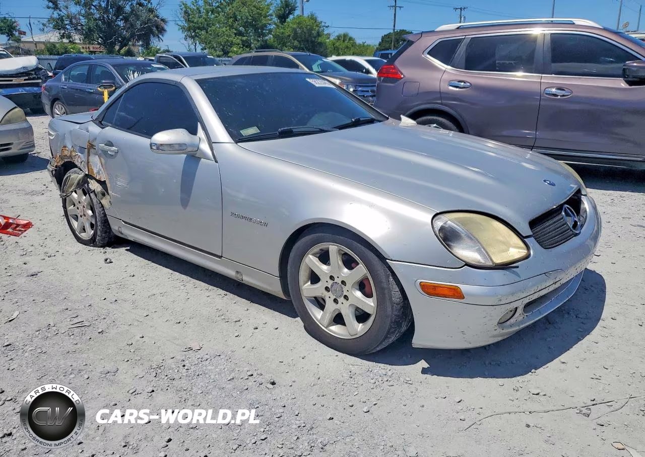 2003 Mercedes-Benz Slk 230 Kompressor VIN:WDBKK49F33F290333 - 4