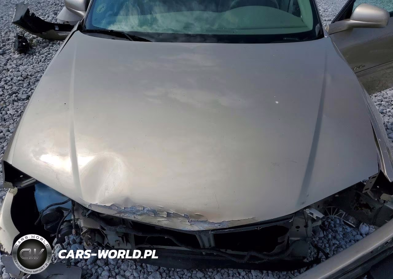 2004 Chevrolet Impala Ls VIN:2G1WH52K949230302 - 11
