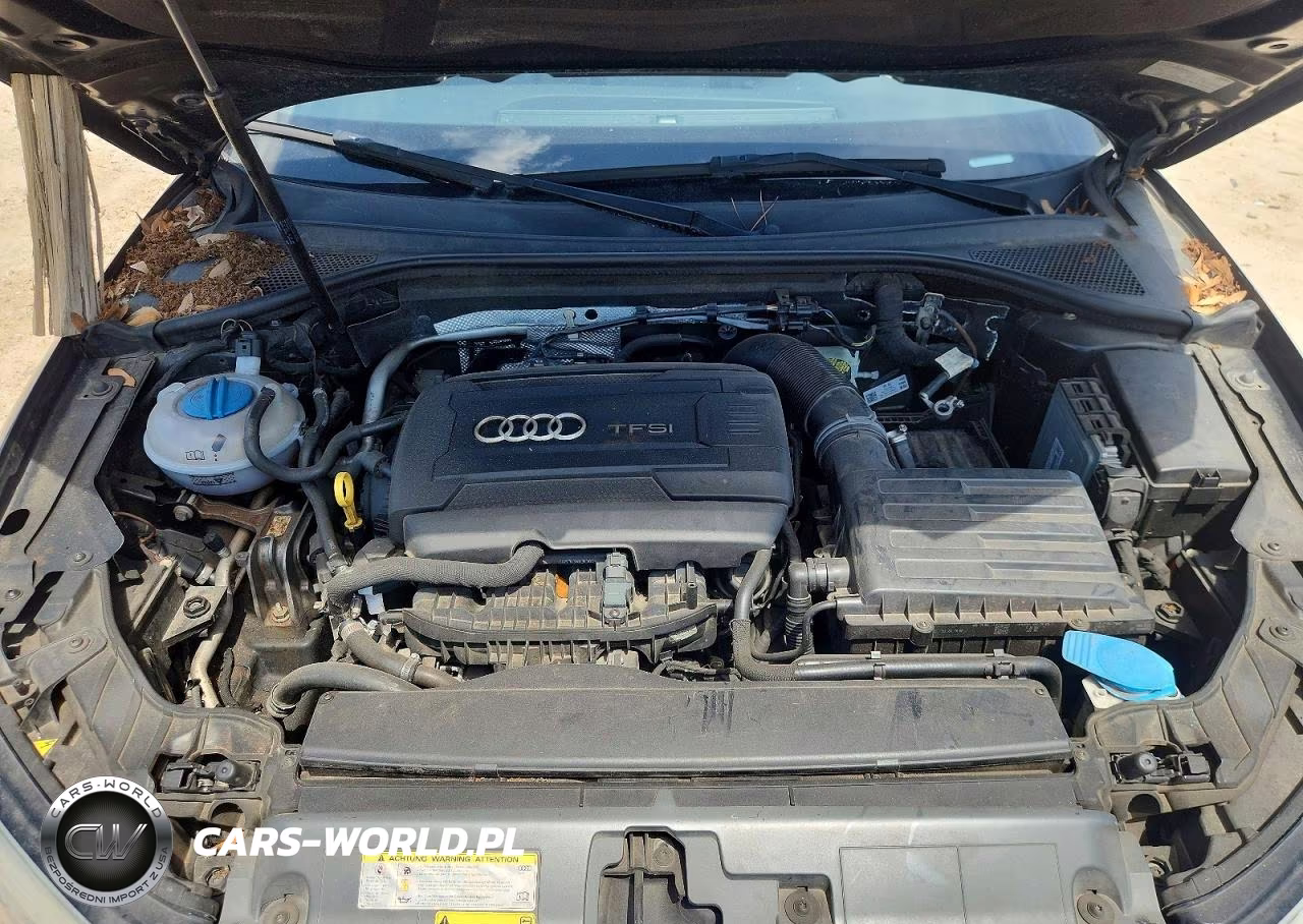 2015 Audi A3 Premium VIN:WAUACGFF7F1065217 - 11