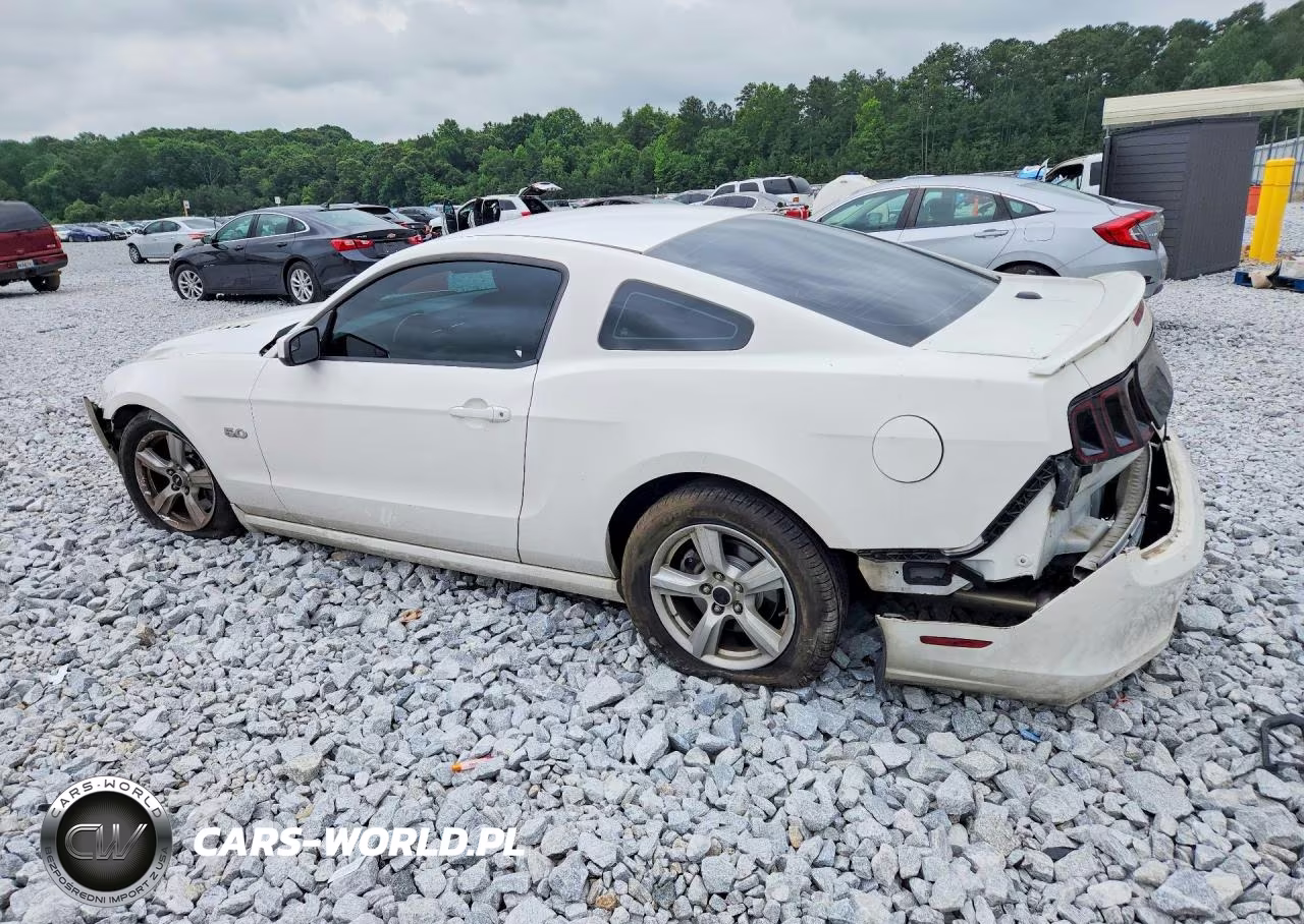 2013 Ford Mustang Gt VIN:1ZVBP8CF1D5232051 - 2