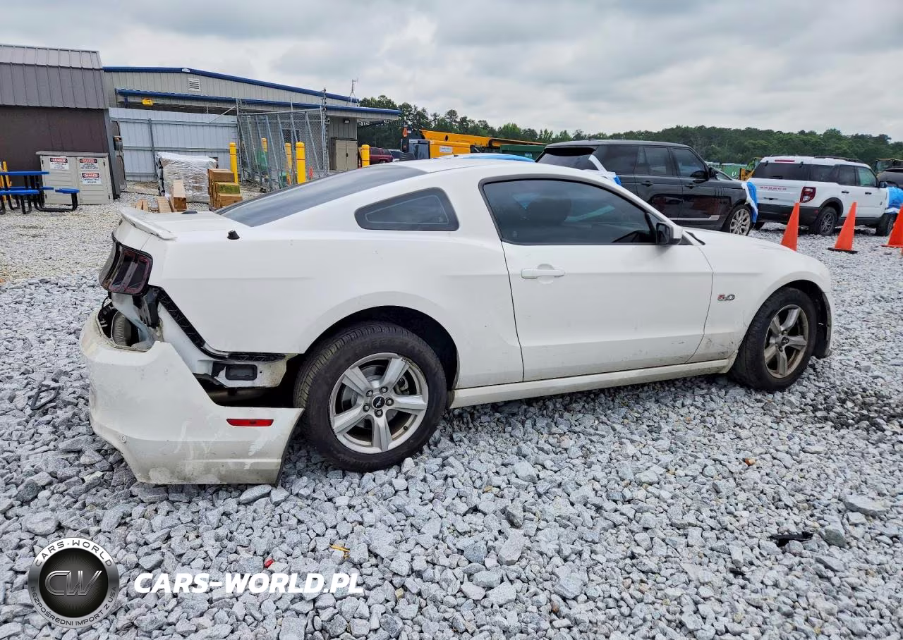 2013 Ford Mustang Gt VIN:1ZVBP8CF1D5232051 - 3