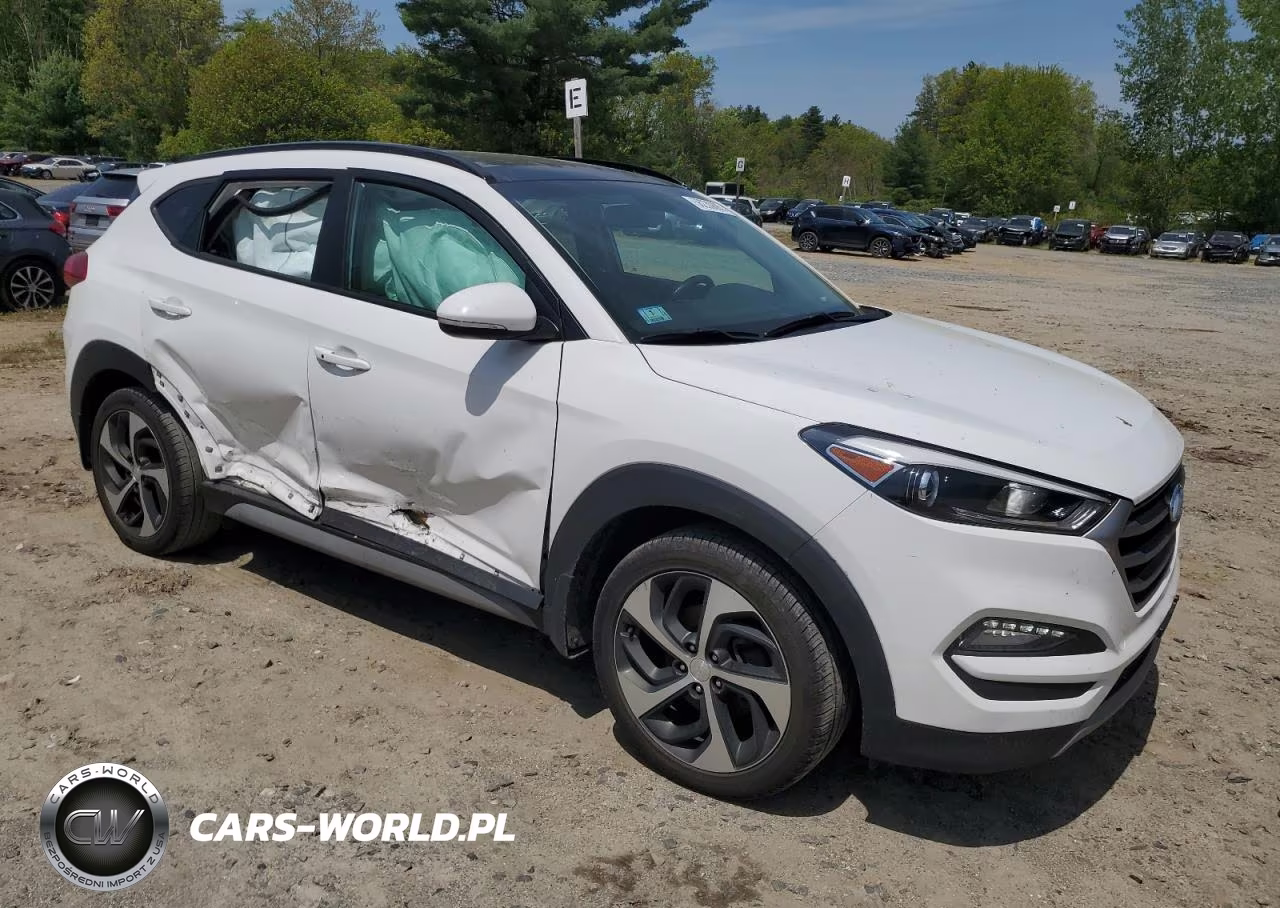 2018 Hyundai Tucson Value VIN:KM8J3CA22JU674508 - 4