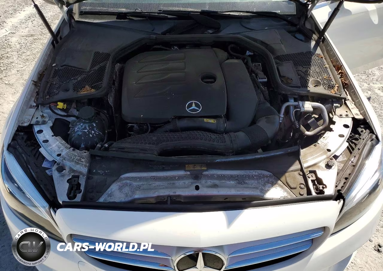 2019 Mercedes-Benz C 300 VIN:55SWF8DB1KU313810 - 11