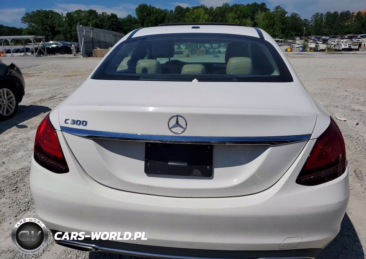 2019 Mercedes-Benz C 300 VIN:55SWF8DB1KU313810 - 6