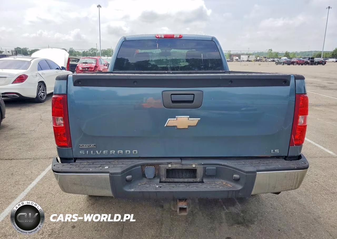 2010 Chevrolet Silverado K1500 Ls VIN:1GCSKREAXAZ176088 - 6