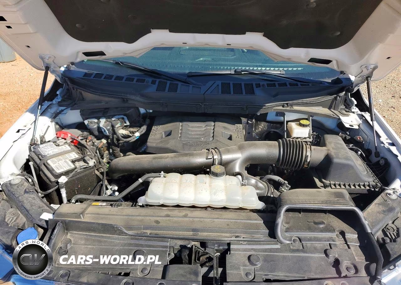 2023 Ford F150 Supercrew VIN:1FTFW1E81PKG05785 - 11